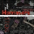 Music for Hammers and Sticks